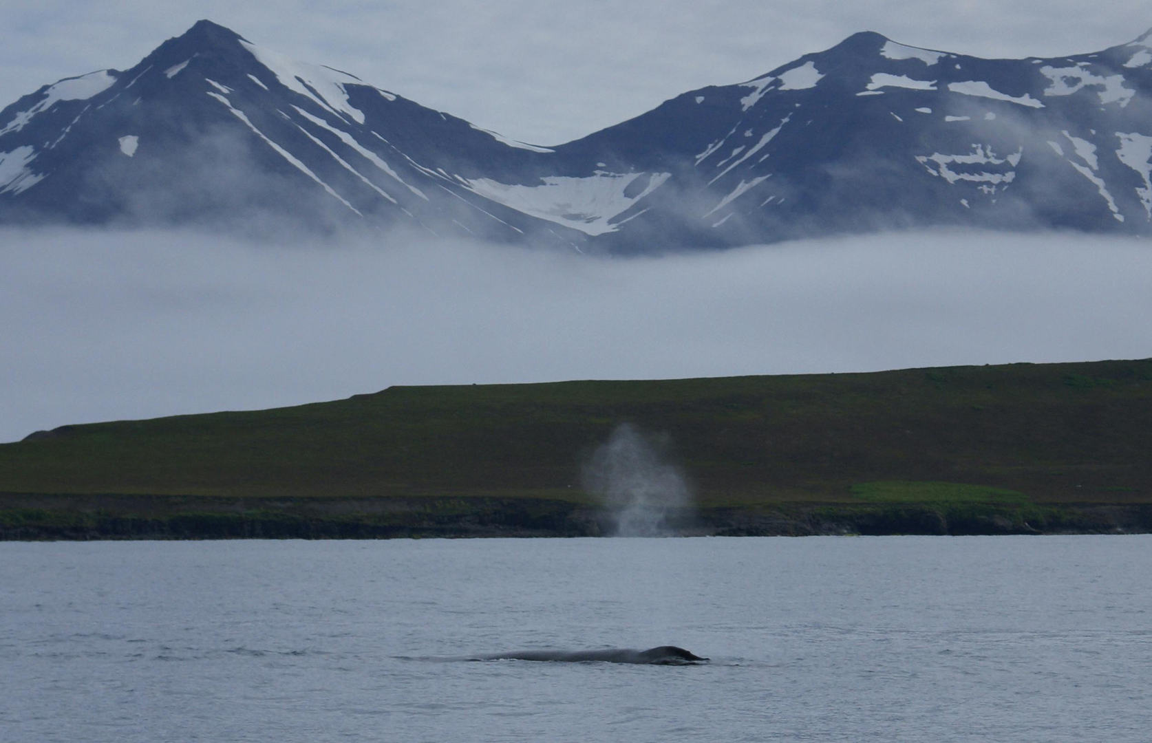 Akureyri – Nordislands Kultur- og Naturperle