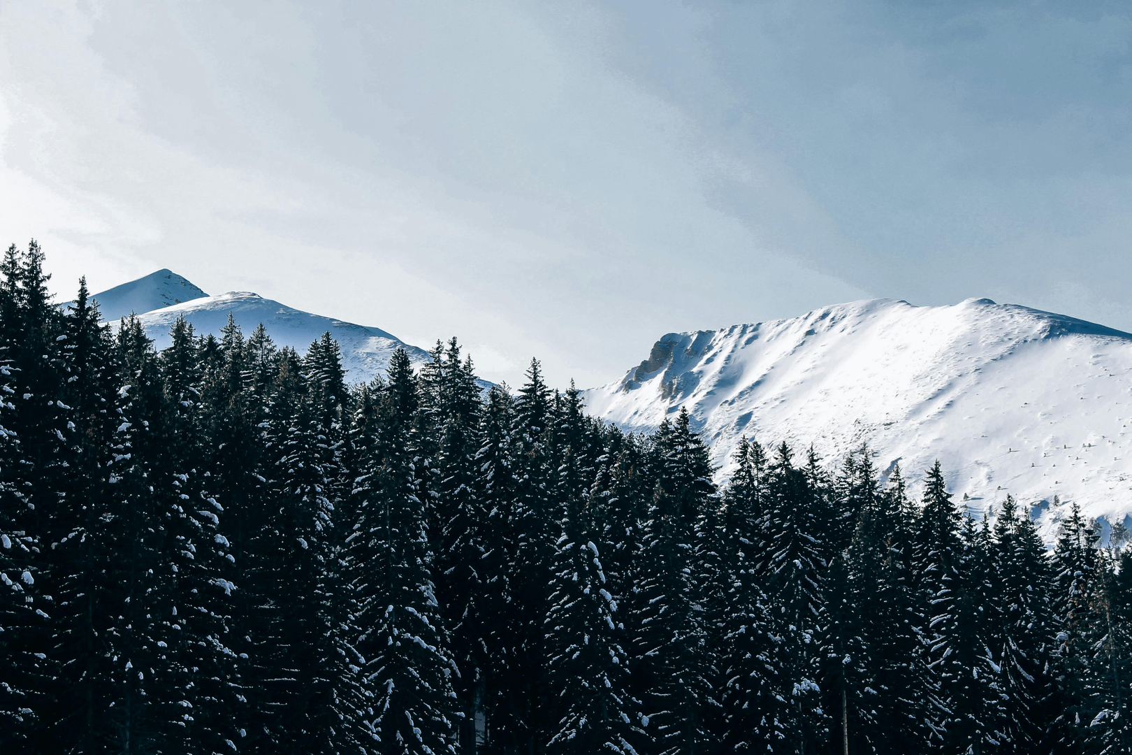 Bansko – Bulgariens vinterperle i Pirin-bjergene