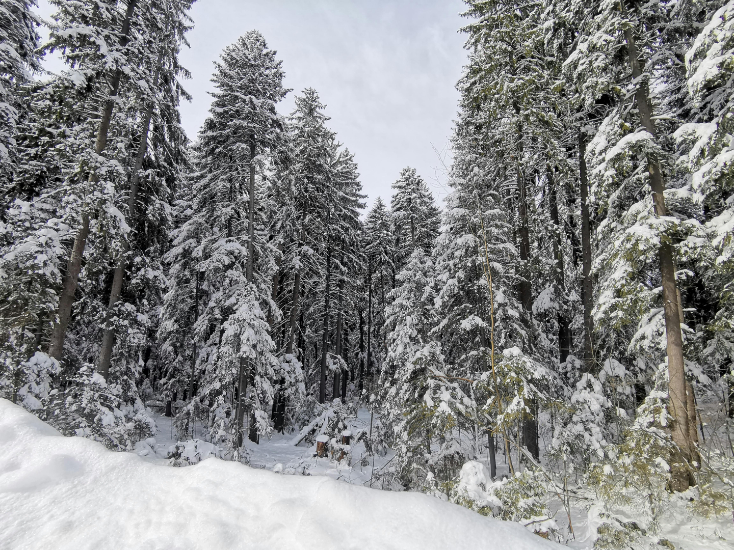 Borovets – Bulgariens ikoniske skisportsperle