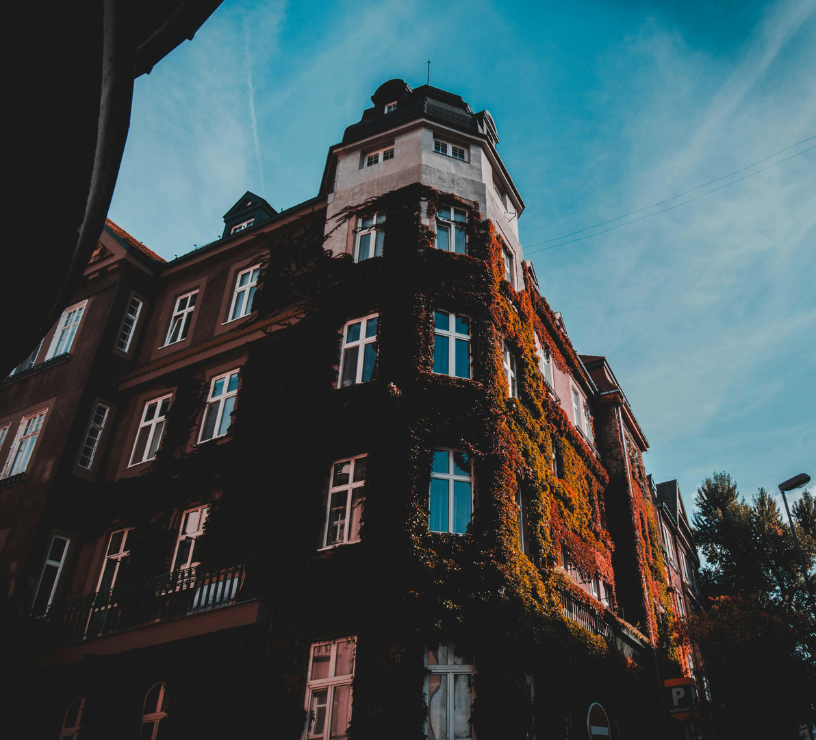 Bratislava – Middelaldercharme ved Donau