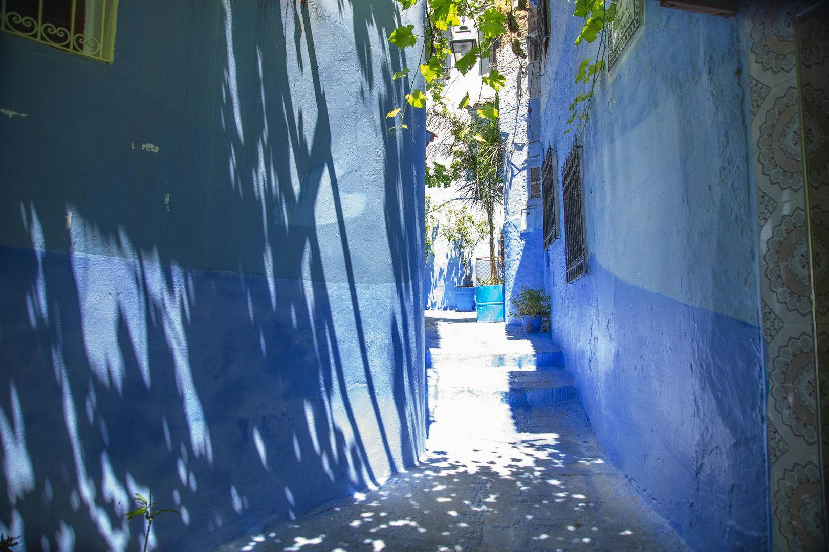 Chefchaouen – Marokkos Blå Perle i Rif-bjergene