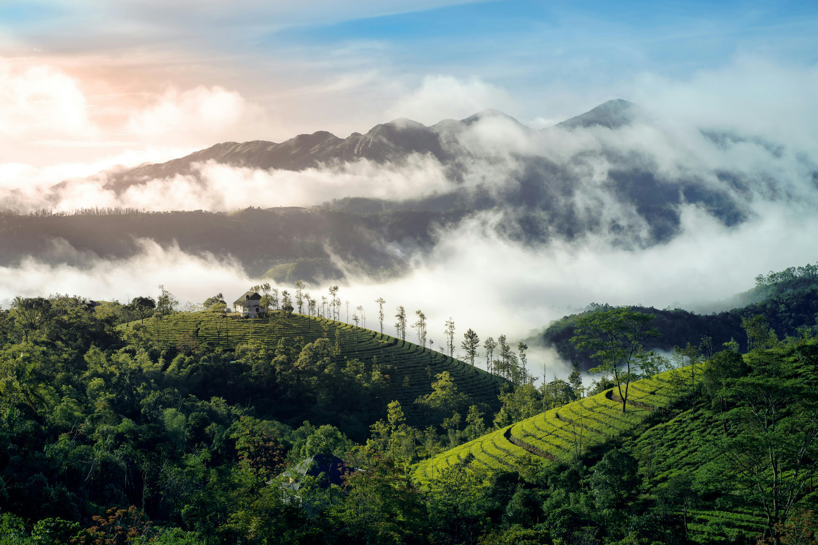 Darjeeling – The Queen of the Himalayas