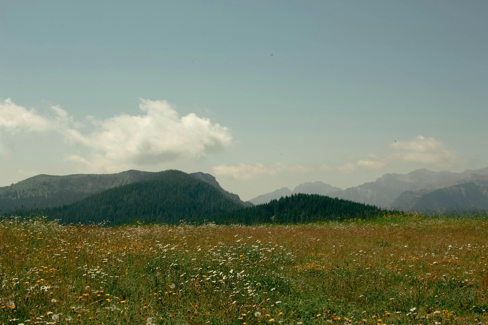 8 friske destinationer til en familievenlig forårsferie