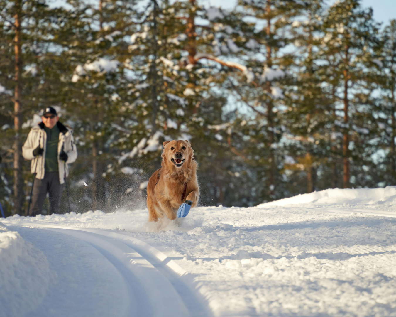 Gålå – Norsk Vintereventyr i Gudbrandsdalen