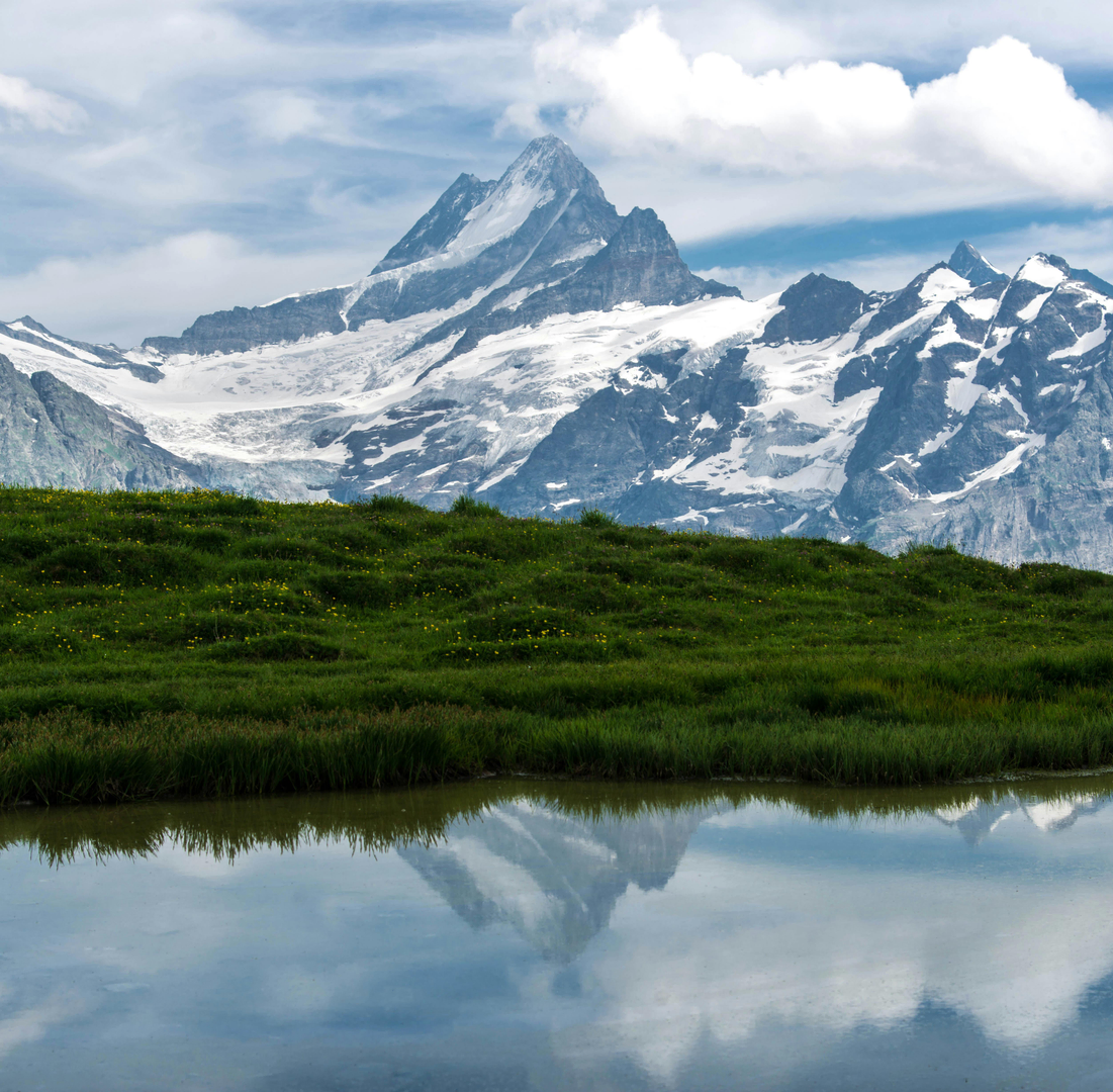 Grindelwald – Eventyr i hjertet af Alperne