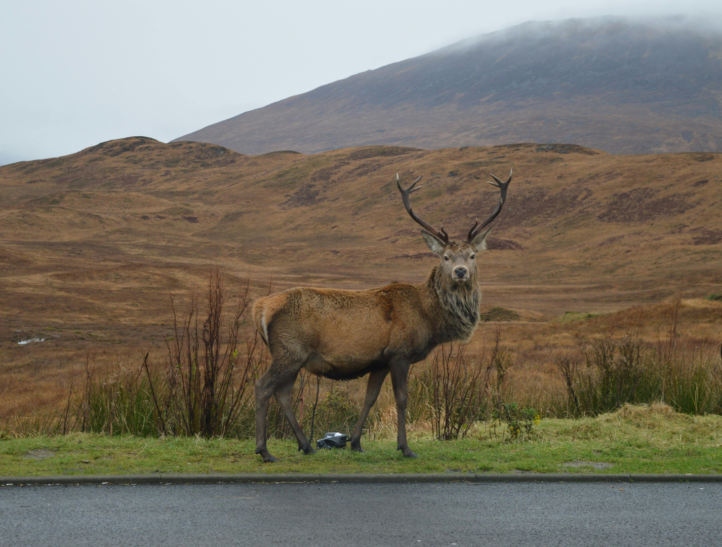 Inverness – The Gateway to Scotland's Highlands
