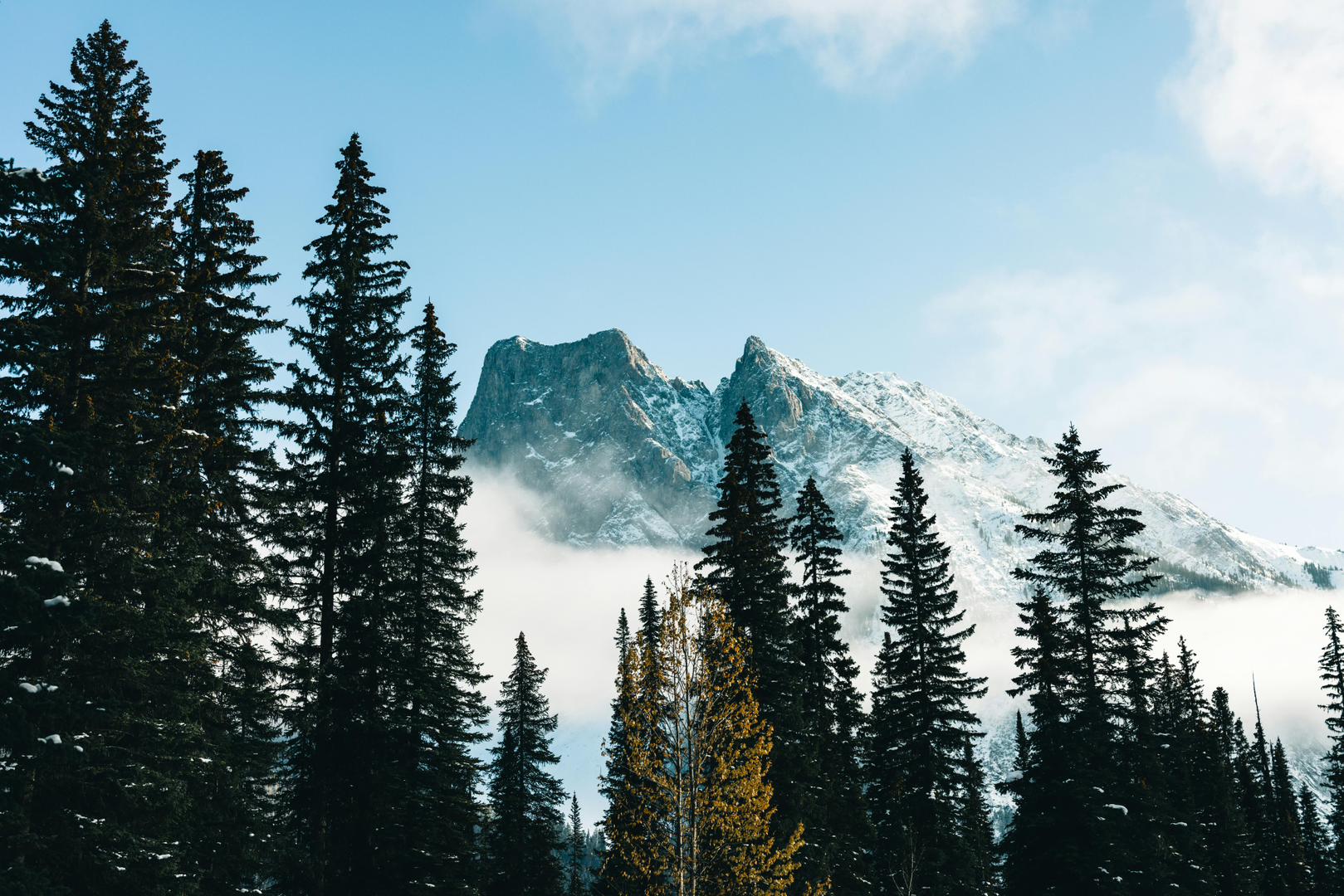 Jasper – Vildmarkseventyr i Canadas Rocky Mountains