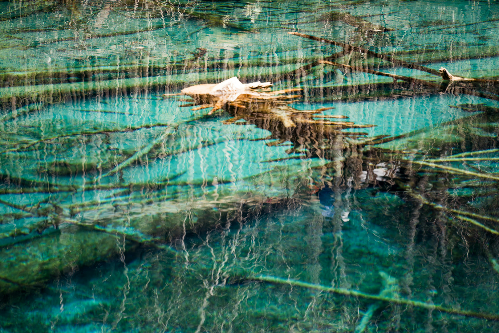 Jiuzhaigou-dalen: Kinas Eventyrlige Naturparadis