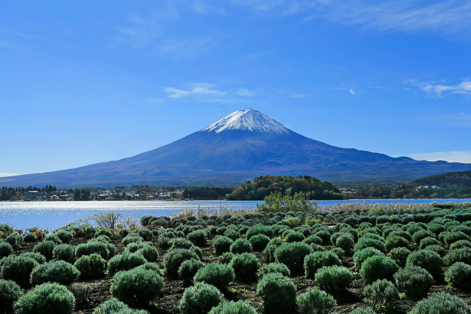 Kagoshima: Volcanoes, Gardens, and Japanese Culture