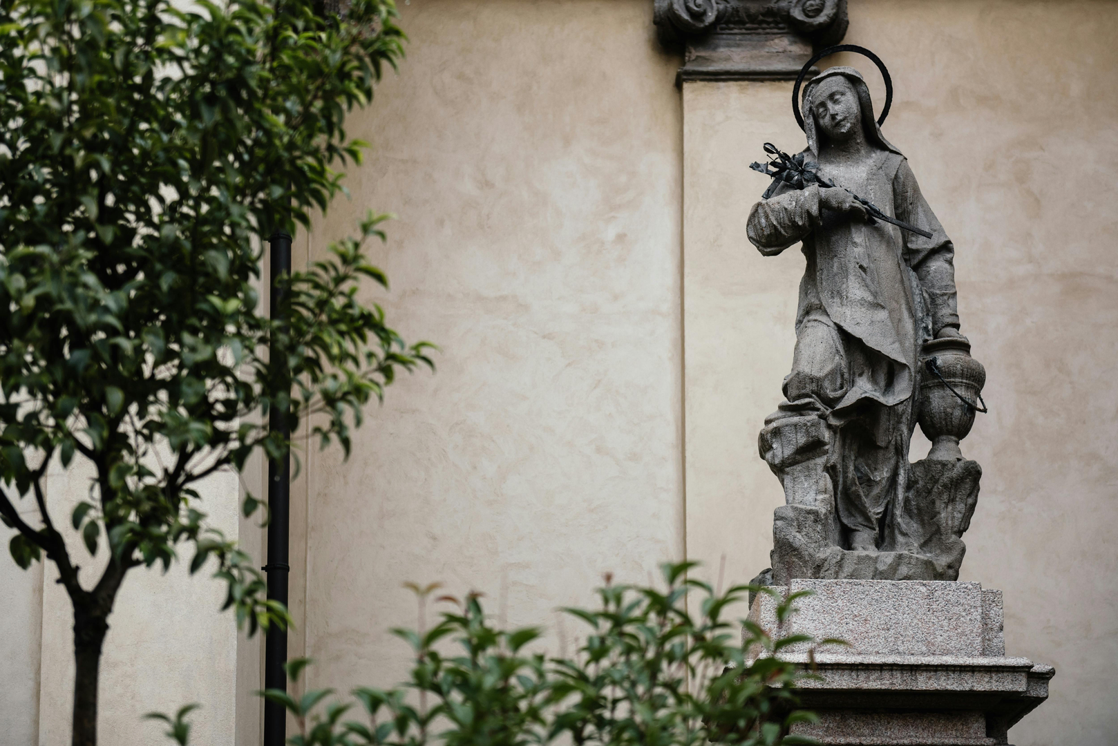 Farverige Kingstown – Kultur, Natur og Historie scene 2