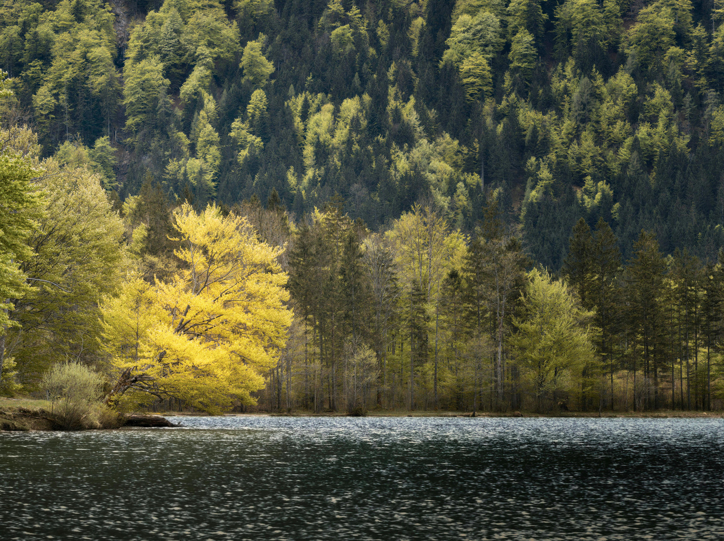 Klösterle/Sonnenkopf – Ægte Alpeidyl året rundt