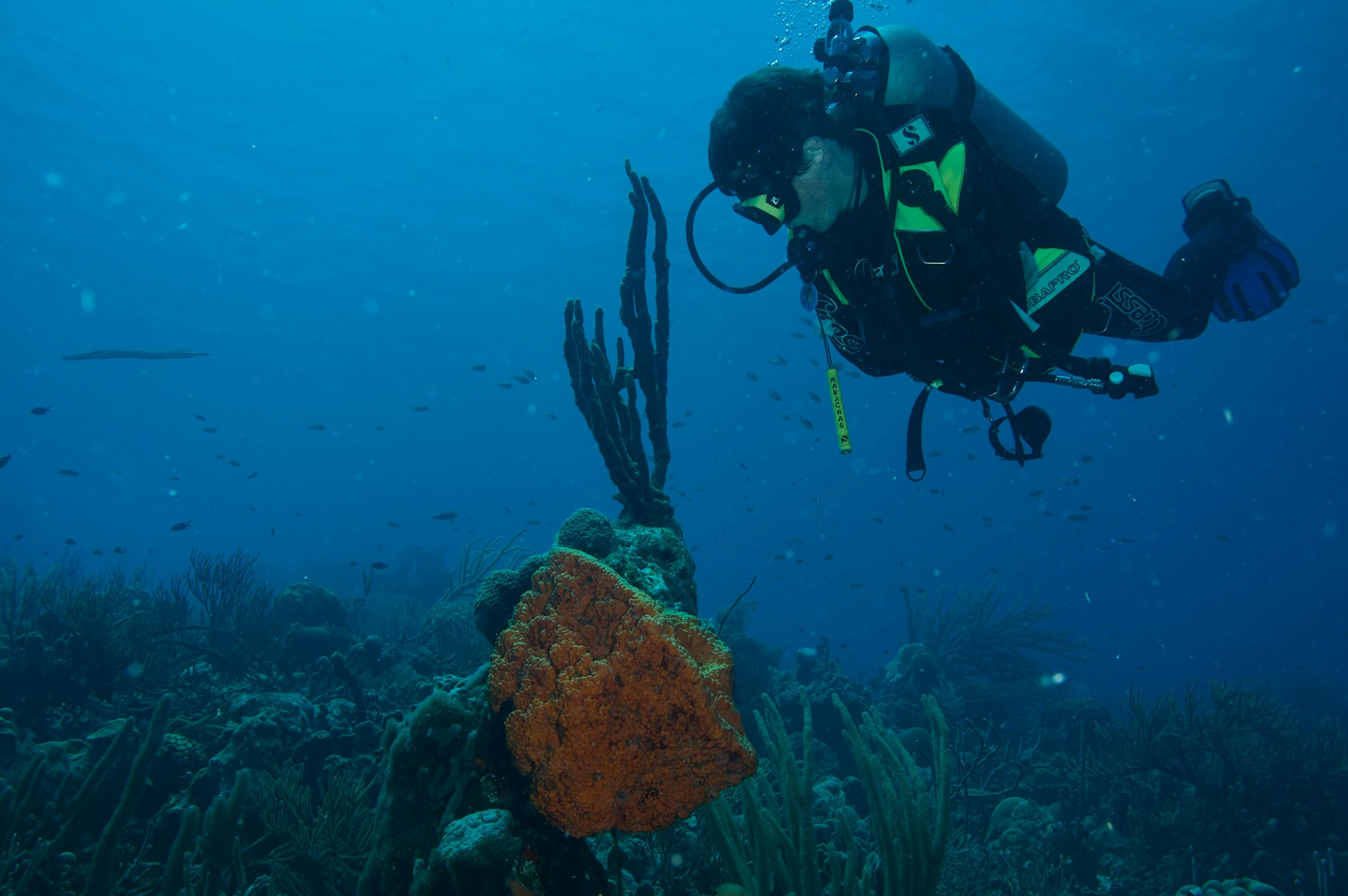 Kralendijk – Bonaire’s Farverige Hjerte