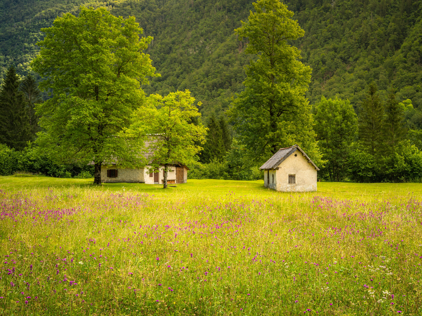 Mala Planina – Hyggelig Alpeidyl i Juliske Alper