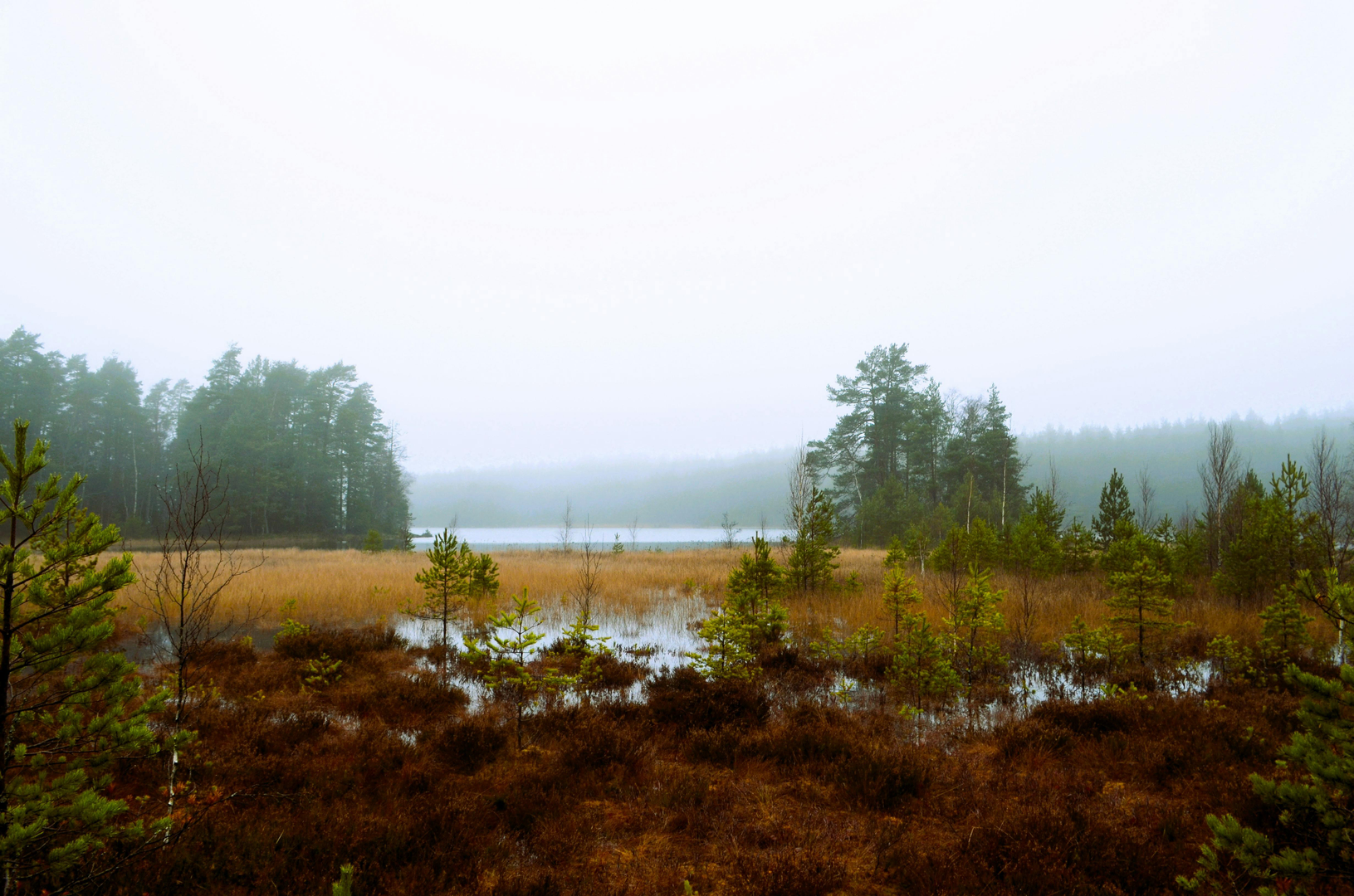 Nuuksio National Park – Wilderness Close to Helsinki