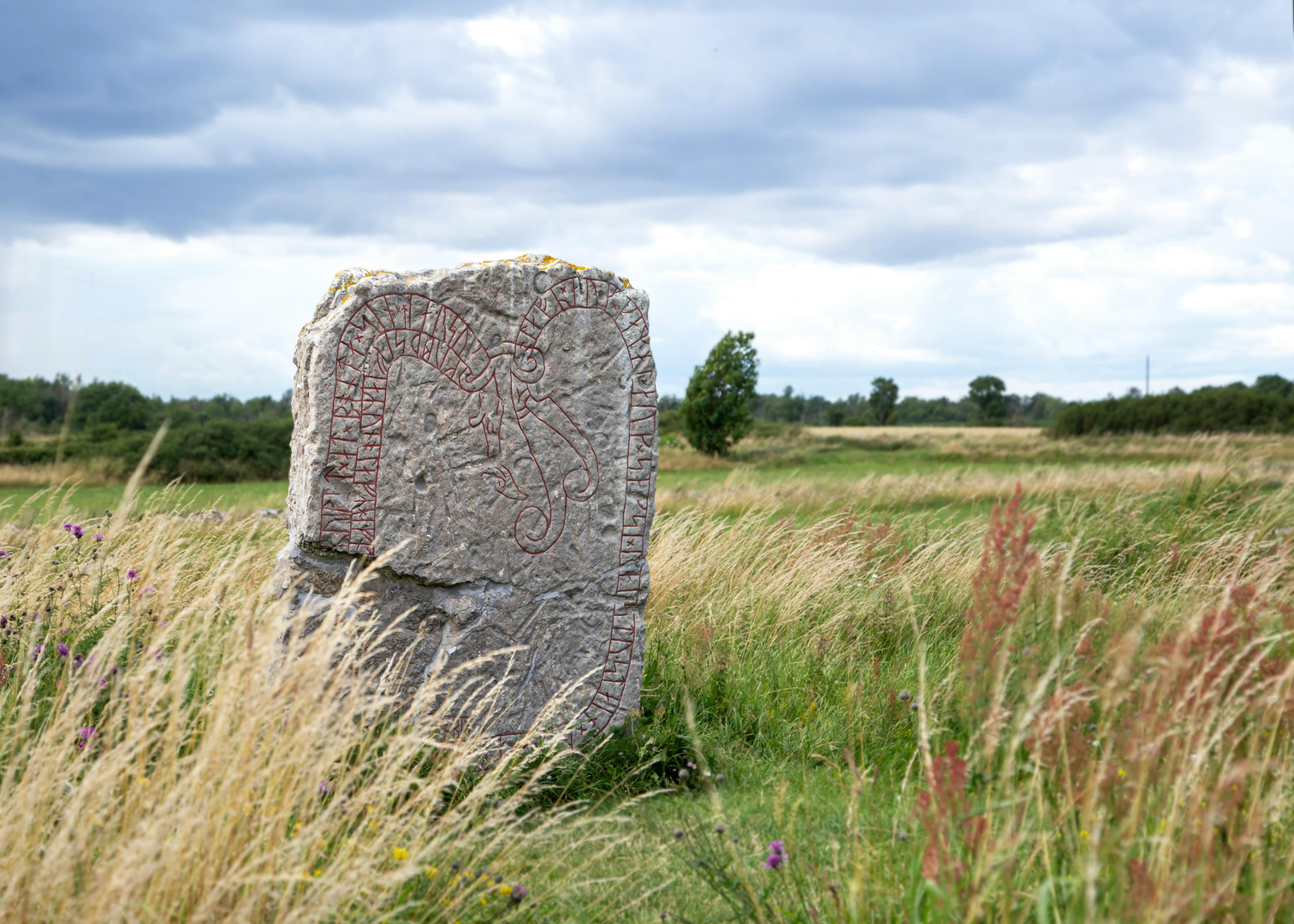 Öland – Nature, Culture, and Adventure in Sweden