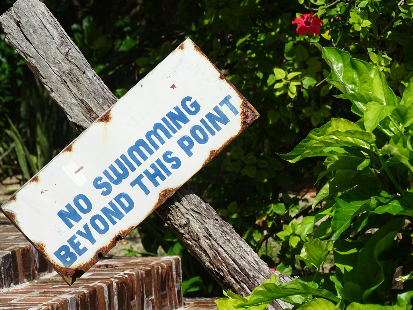 Port Antonio – Jamaicas Skjulte Tropiske Paradis