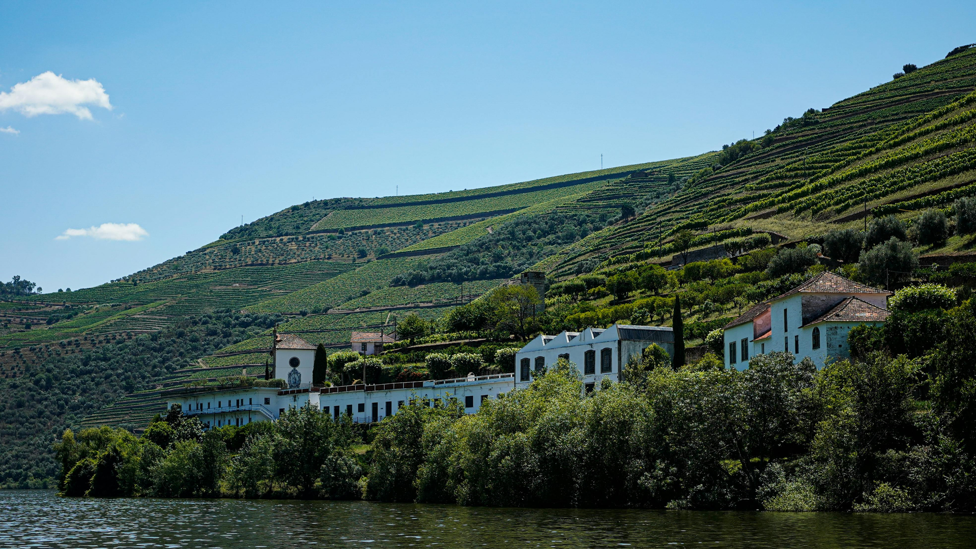 Porto – Historie, Vin og Flodens Magi scene 3