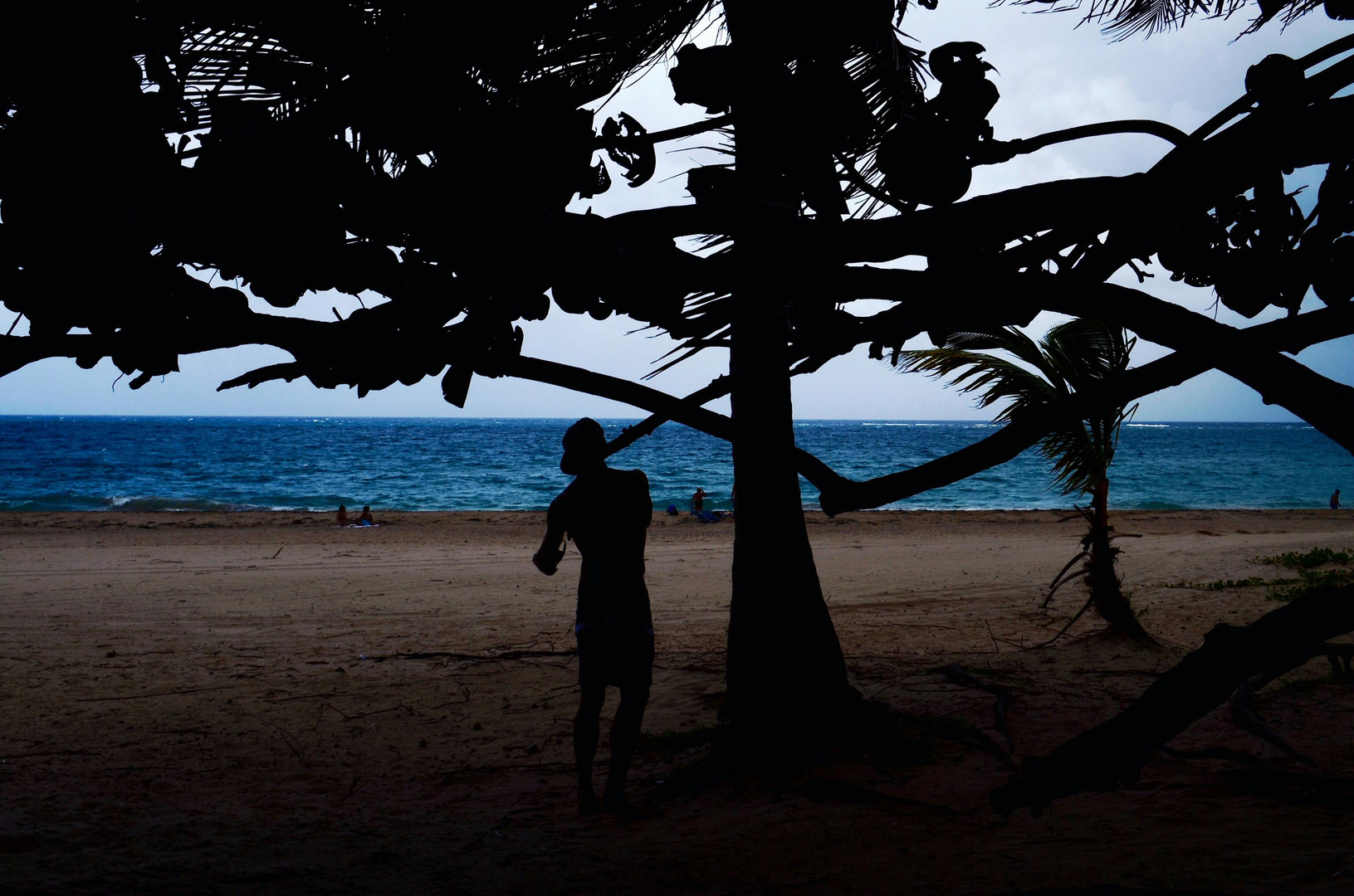 Puerto Rico – The Caribbean's Enchanting Island