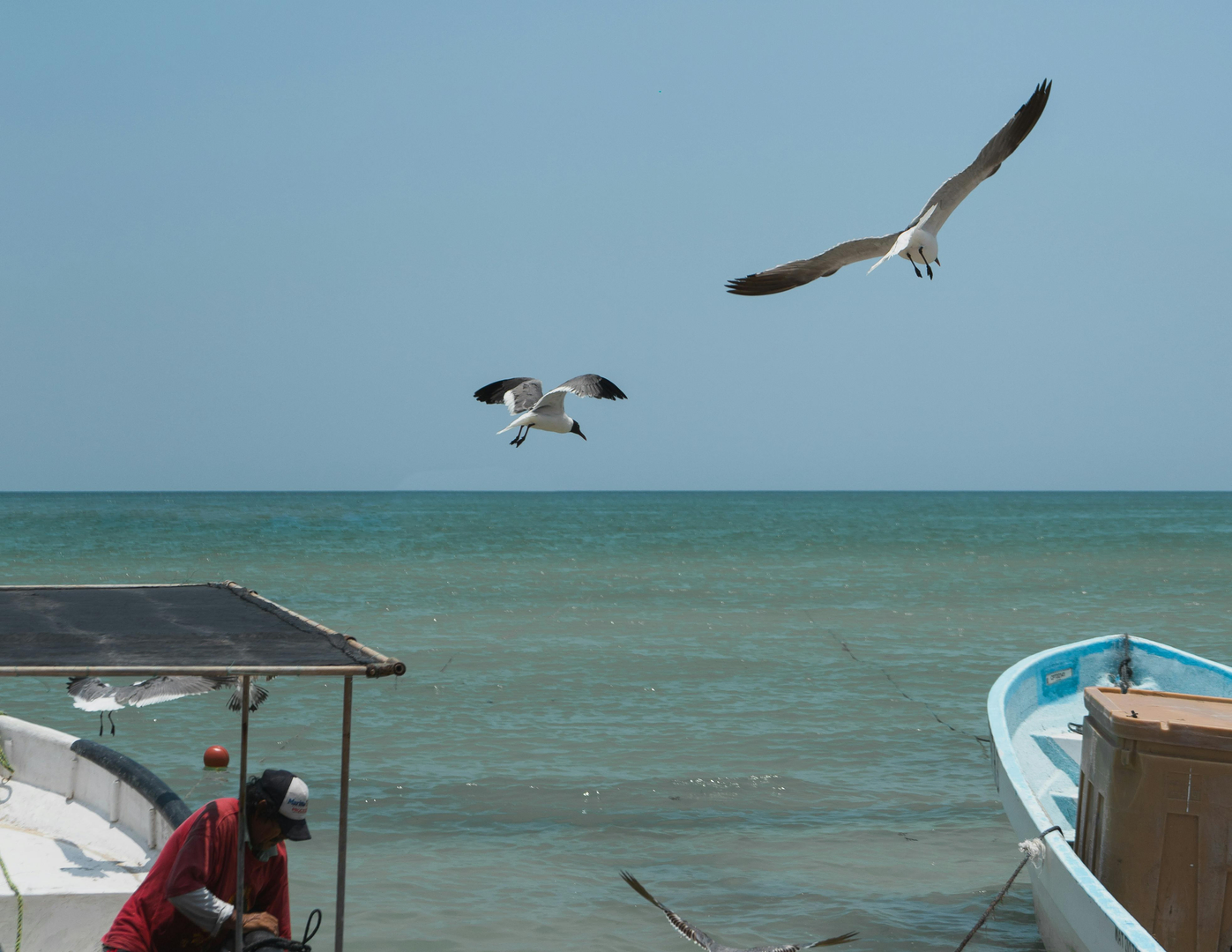 Puerto Rico – Sunny Vacation Oasis on Gran Canaria