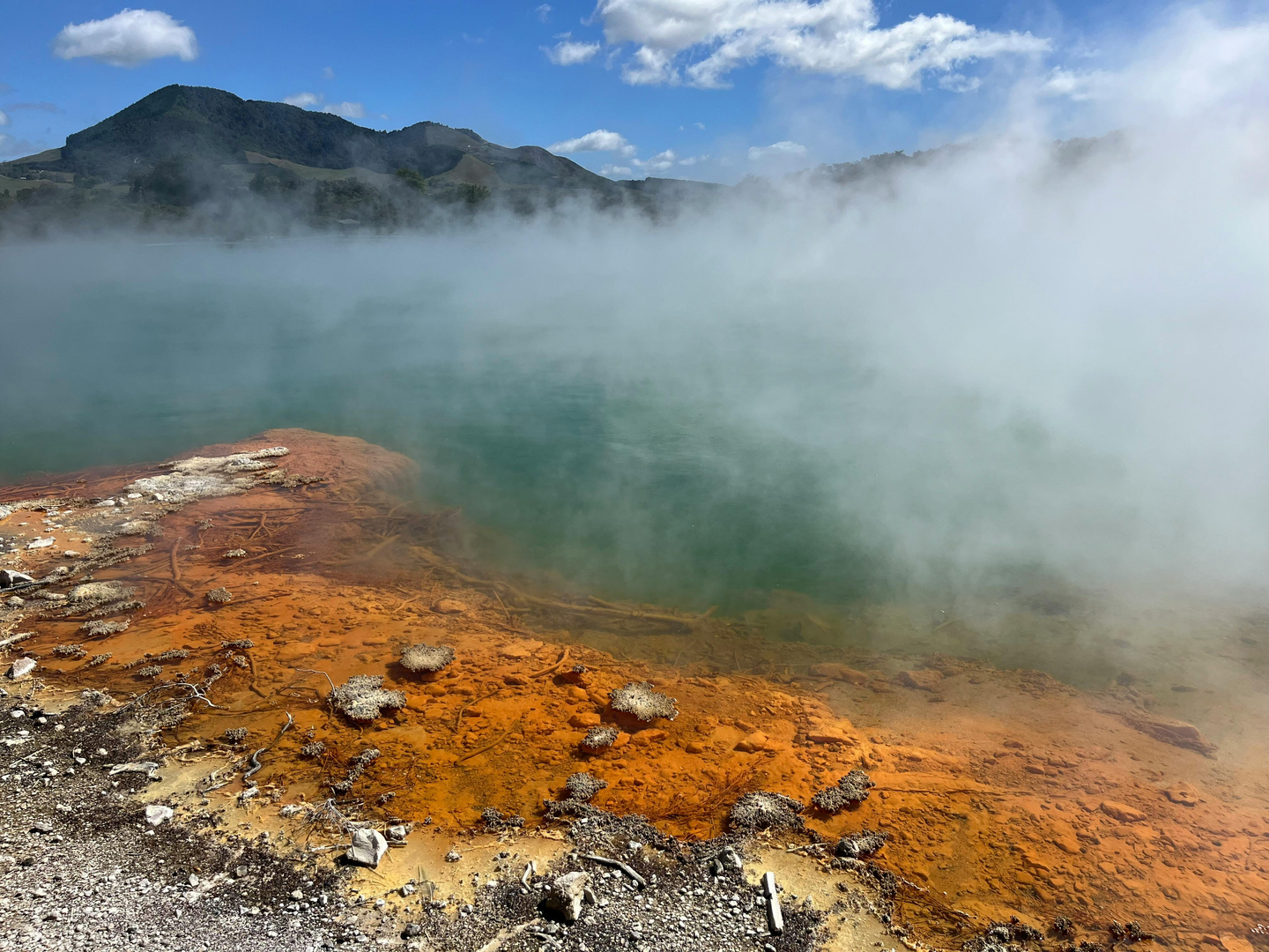 Rotorua: Naturkræfter og Maori Kultur