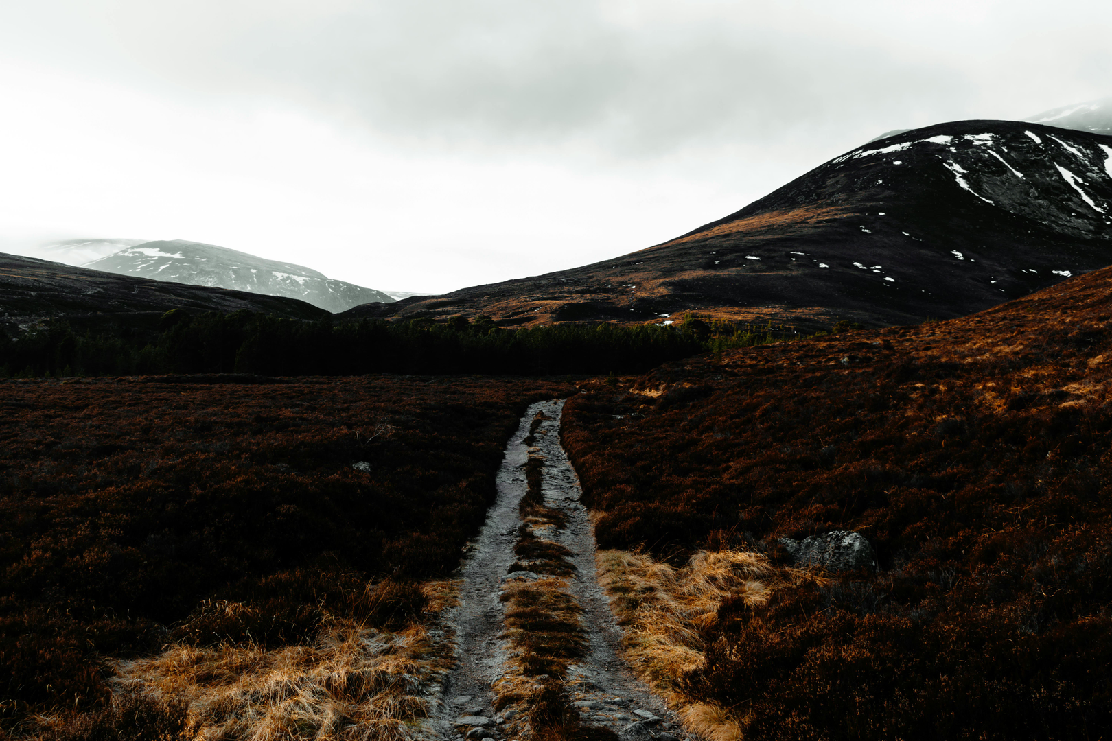 Shetlands Øer – Natur, Kultur og Eventyr