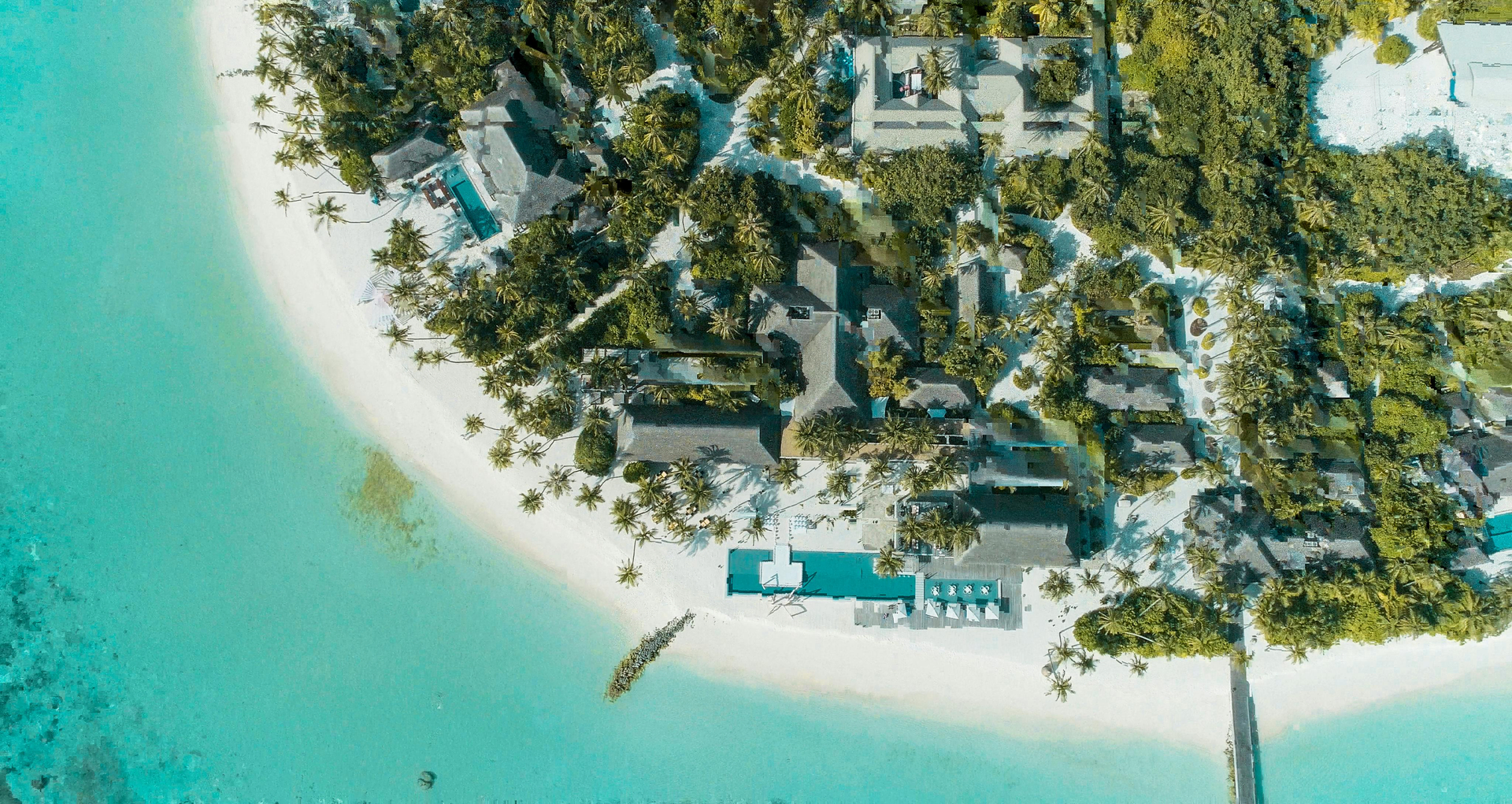 Socotra Ø – Det Arabiske Galápagos