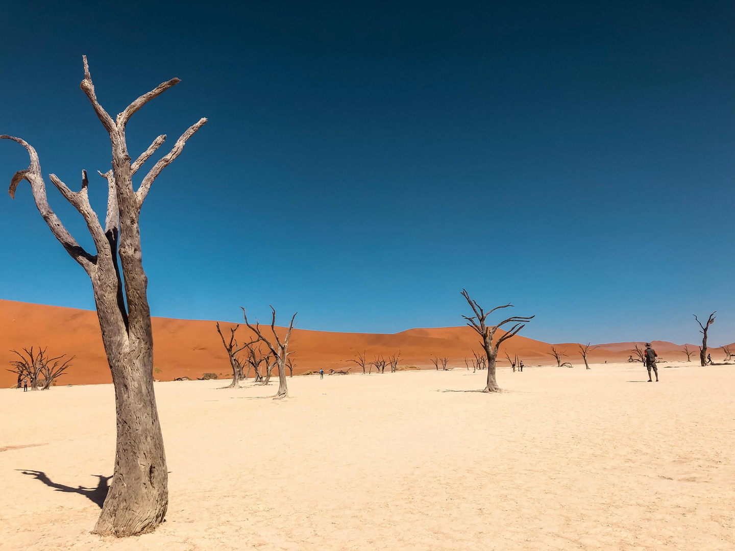 Sossusvlei – Namibias ikoniske røde ørkenklitter