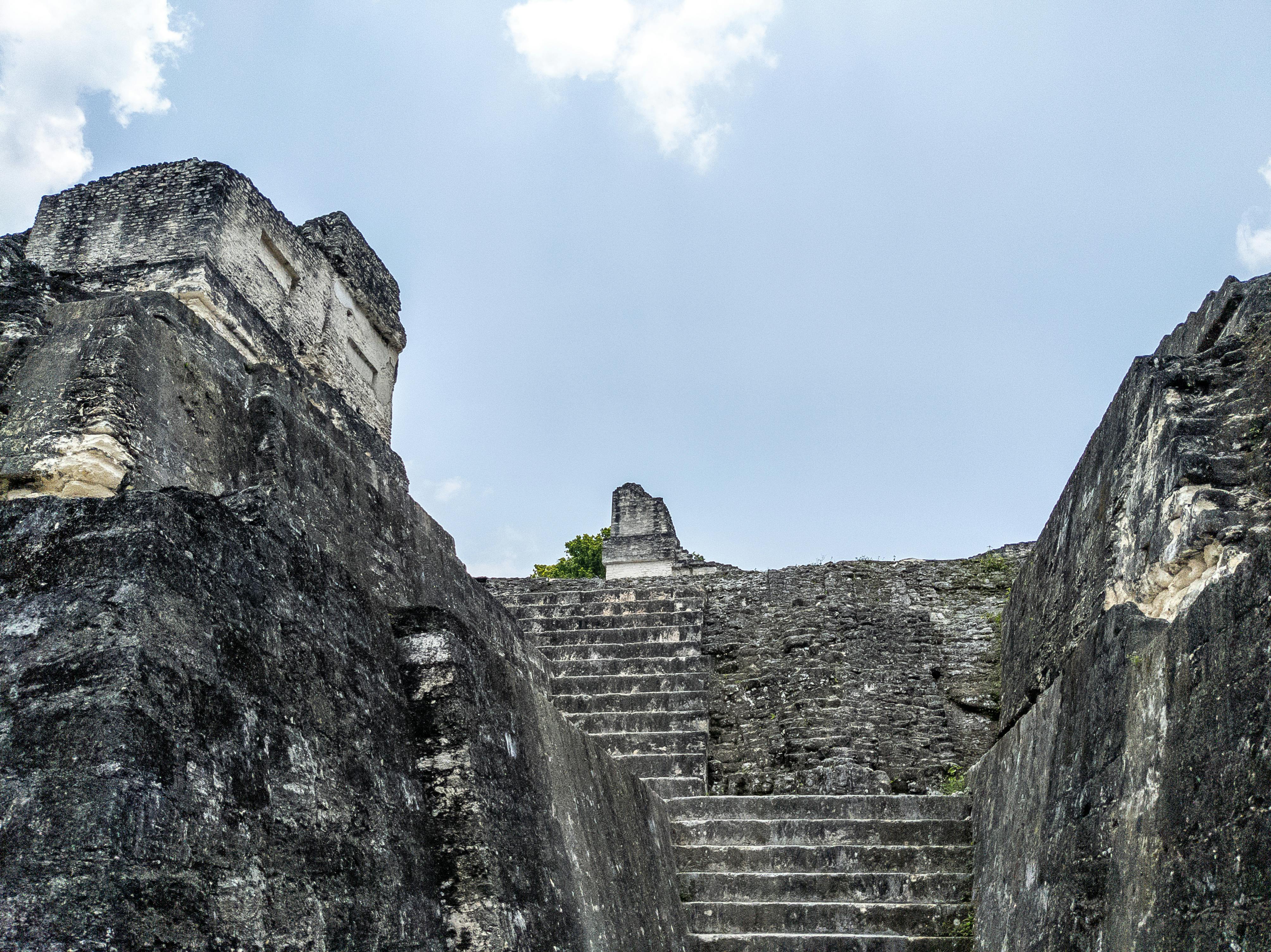 Tikal – Mayaruinernes Juvel i Guatemalas Jungle
