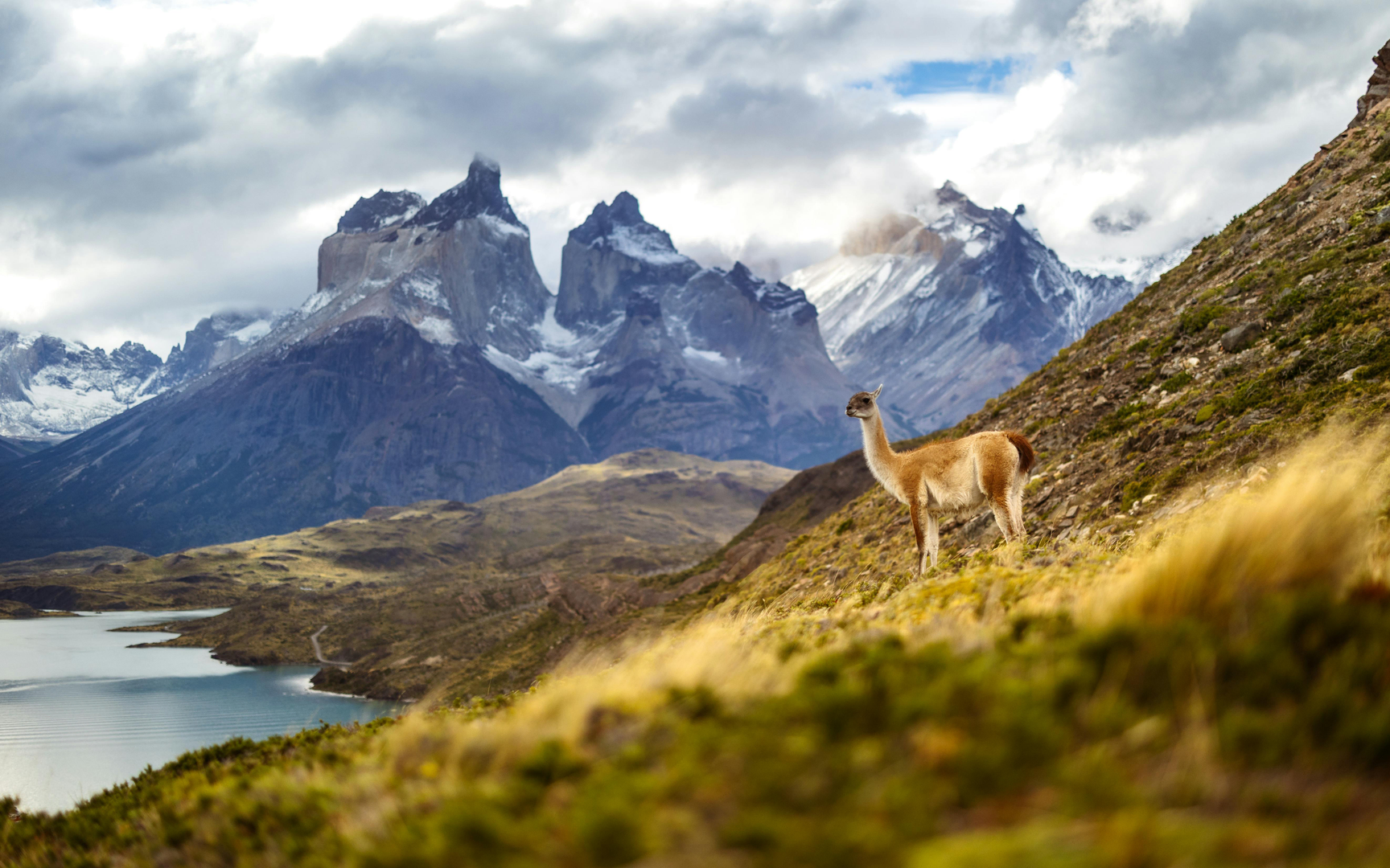 Torres del Paine – Patagonia's Natural Wonder