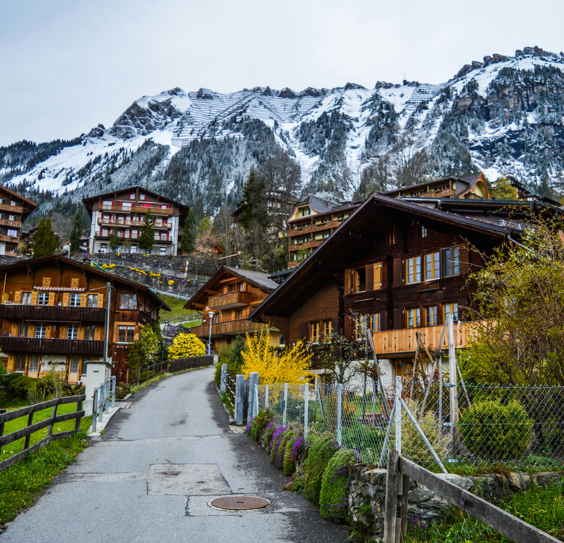Villars-sur-Ollon – Familievenlig Alpeidyl