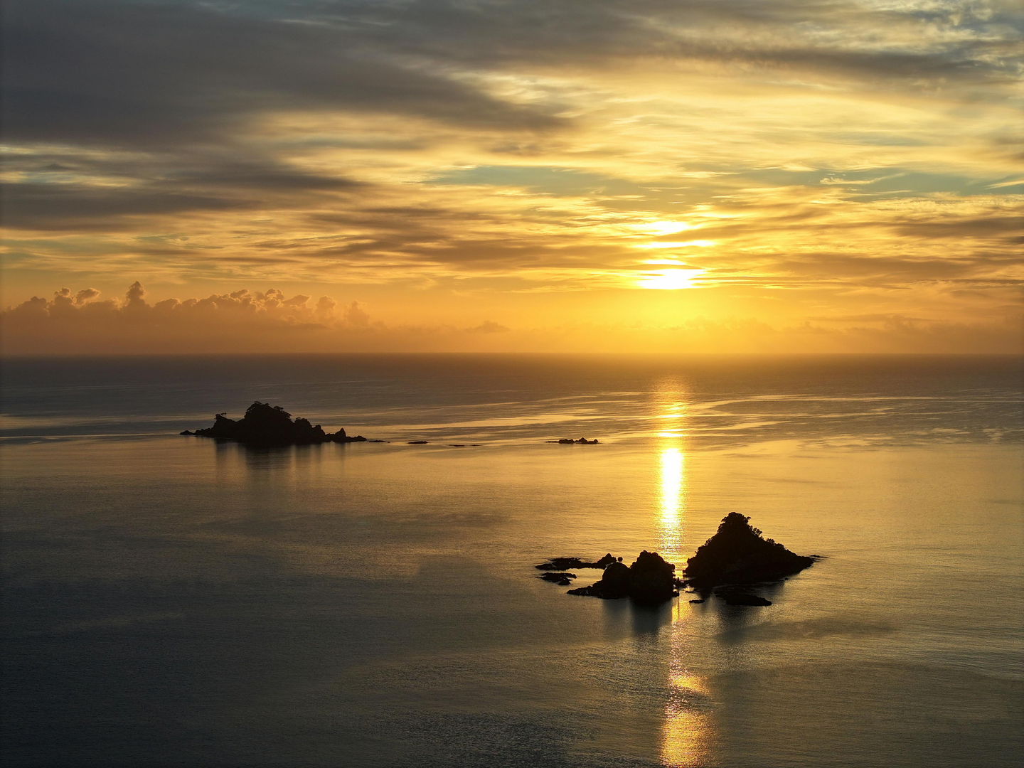 Wellington – Culture, Coast, and Natural Beauty