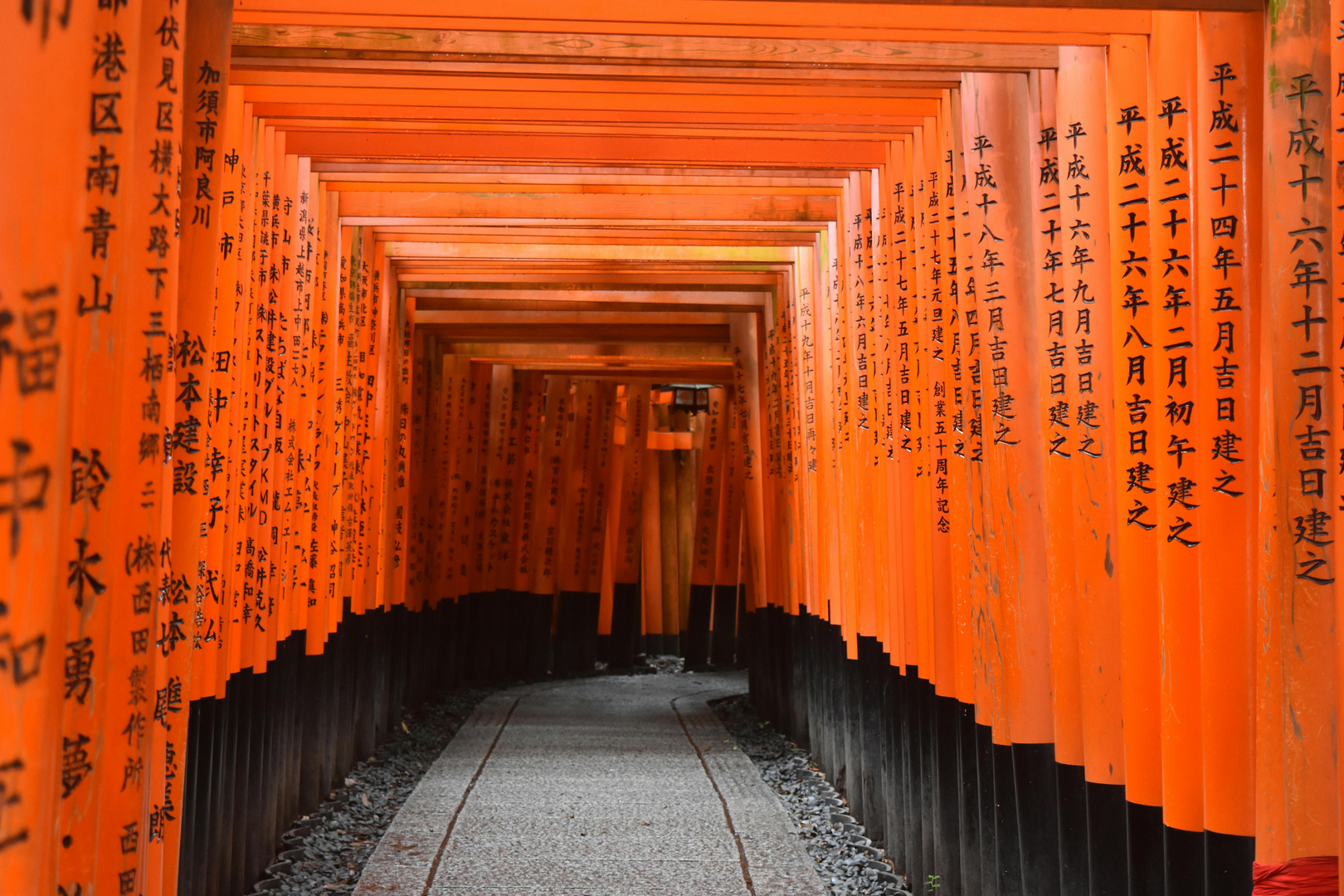 De berømte vermilion torii-porte ved Fushimi Inari-Taisha