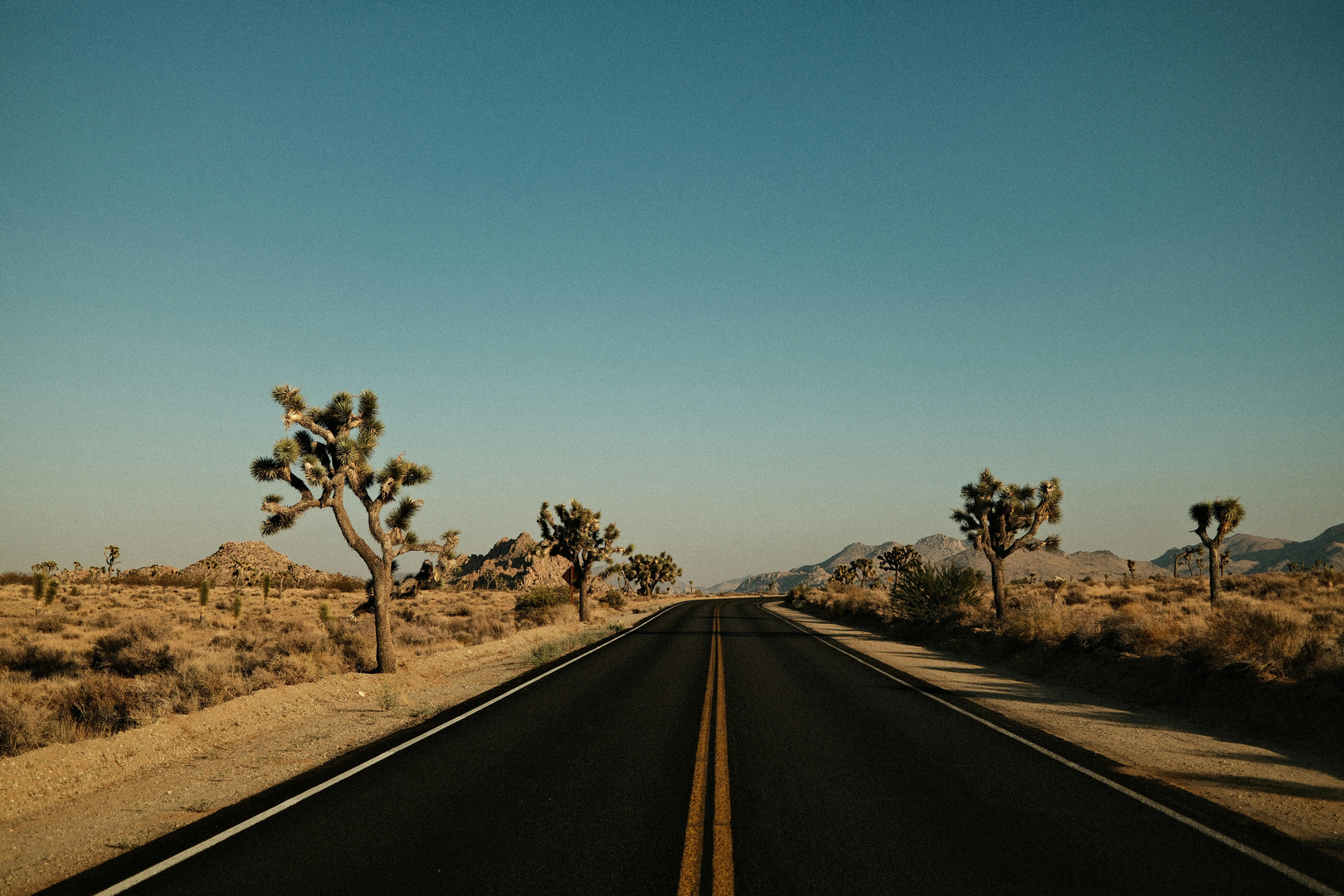 Joshua Tree’s unikke landskab og stjerneklar nattehimmel