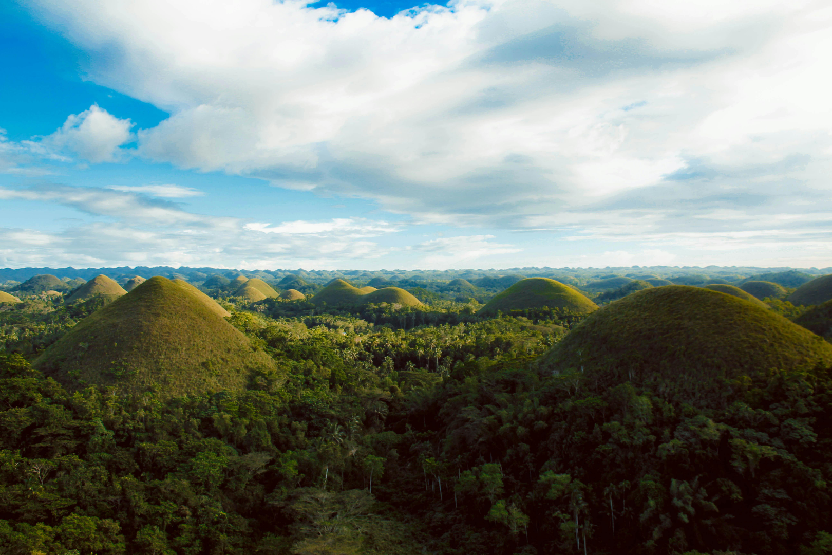 Chocolate Hills i tørkesæsonen med deres karakteristiske chokoladebrune farve