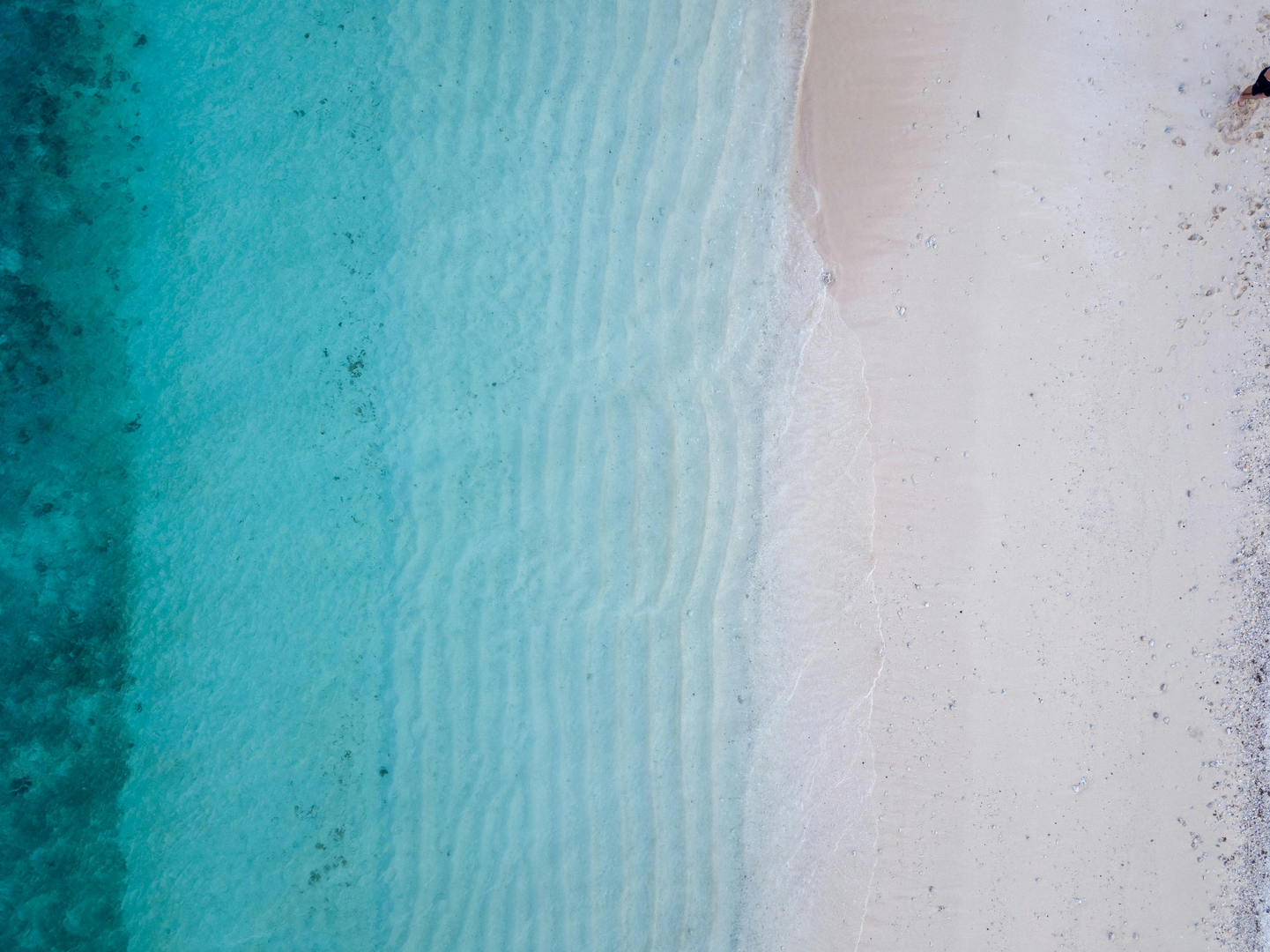 Transportmuligheder på Fiji inkluderer busser, minibusser og færger