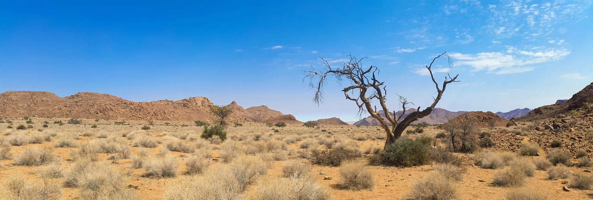 Graces feltnoter fra Namibia