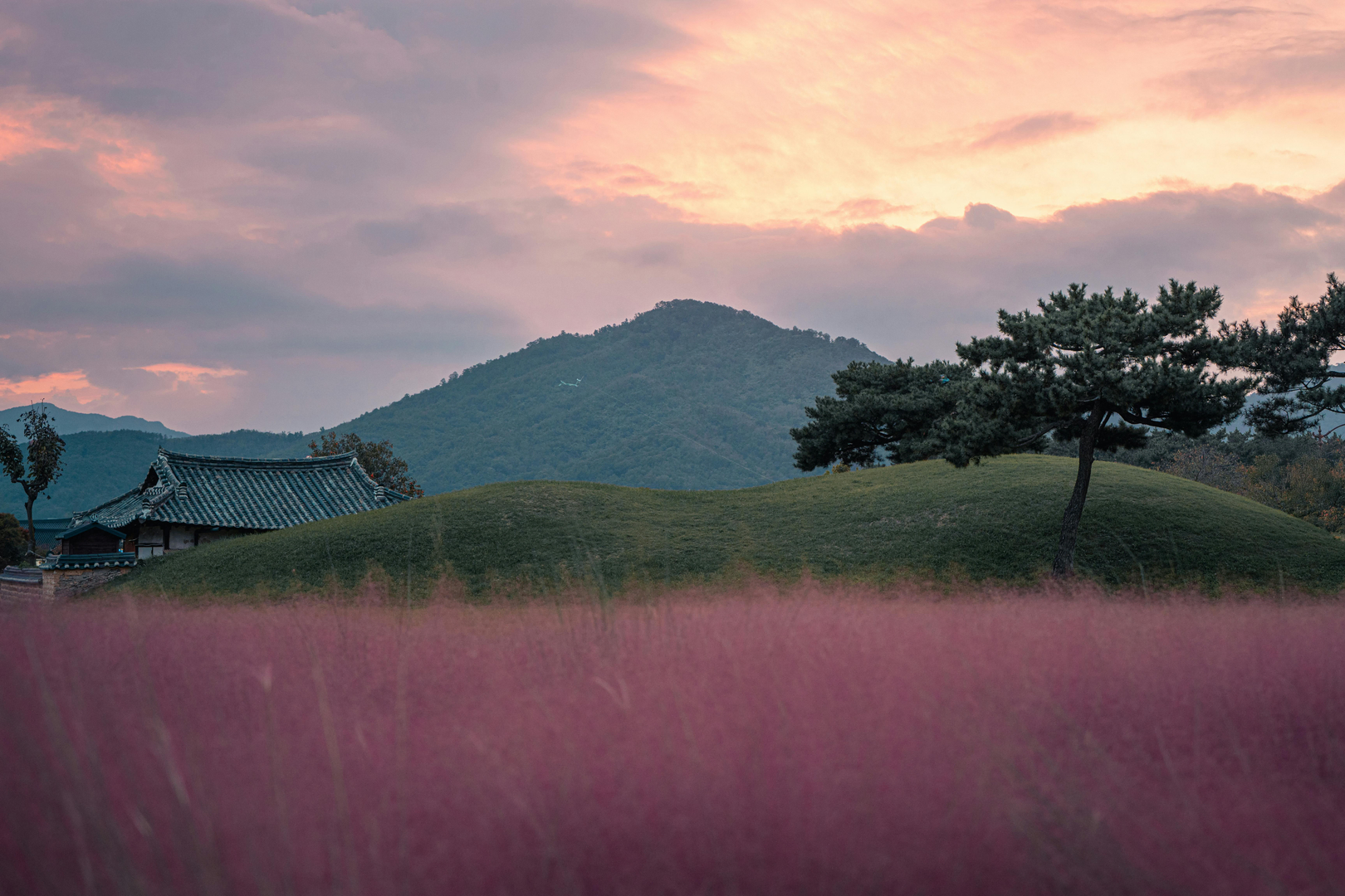 Anapji-dammen ved solnedgang i Gyeongju, Sydkorea