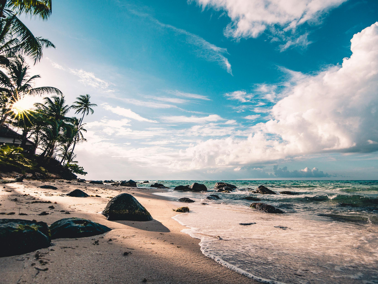 Island 101: Tom Marchant