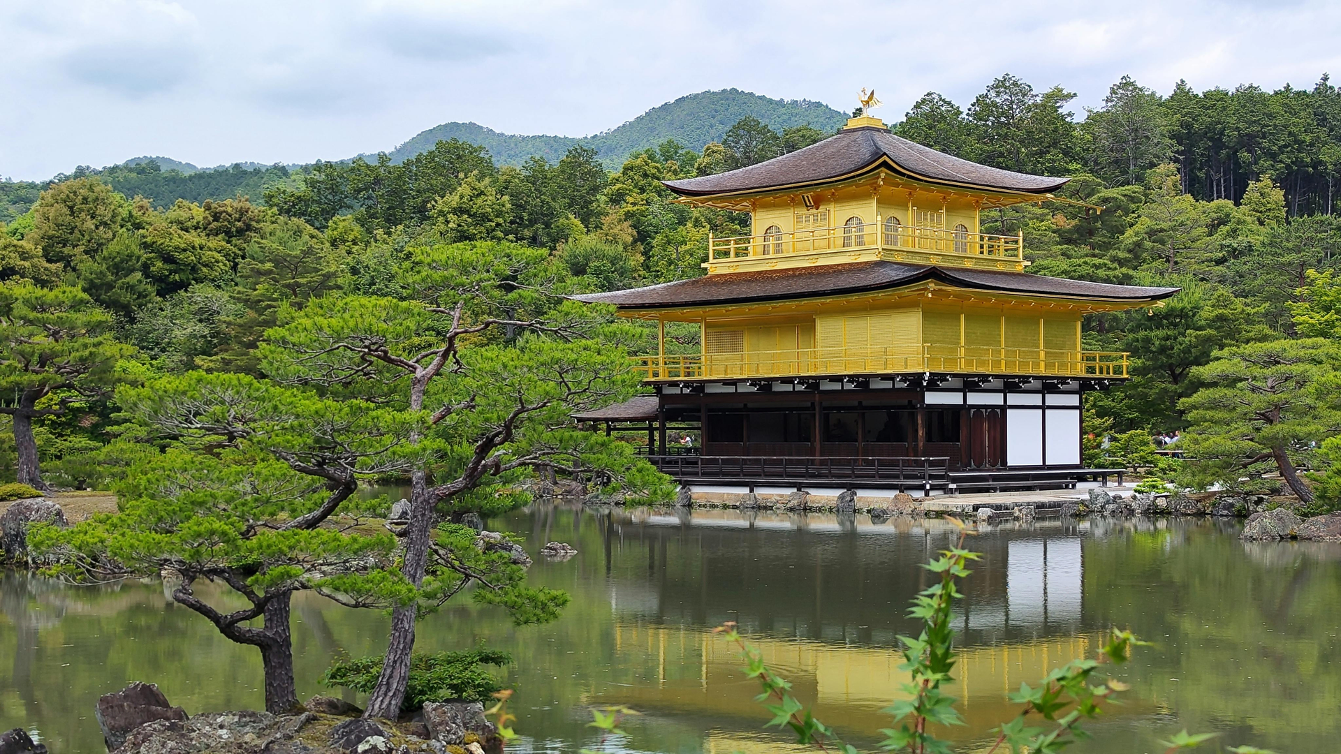Kinkaku-ji, Det Gyldne Tempel, reflekteres smukt i søen