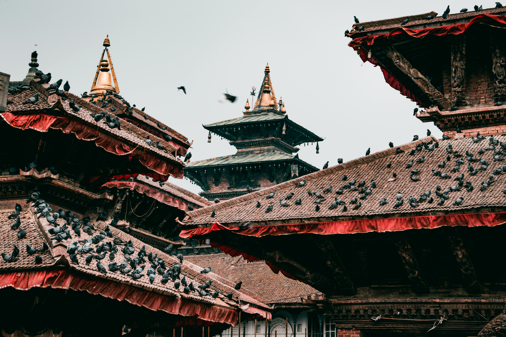Mahout – Den Store Elefantvandring i Nepal