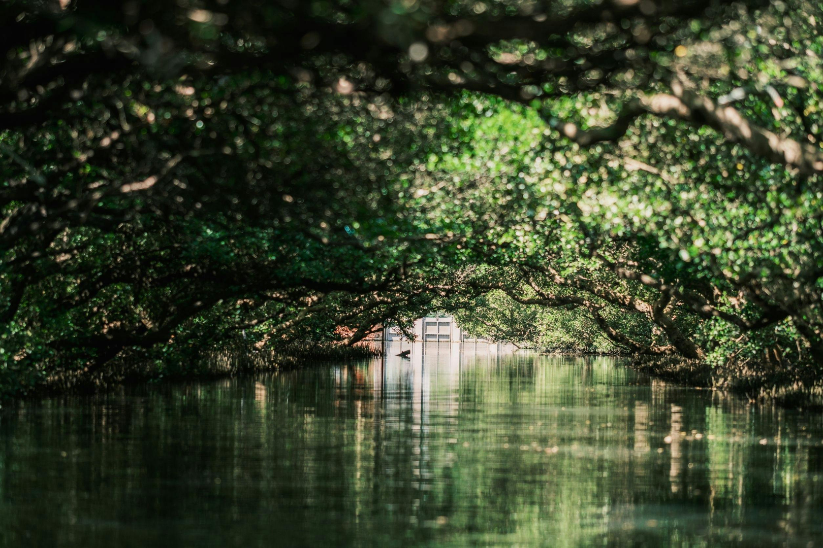 Dan zai nudler – en klassisk ret fra Tainan