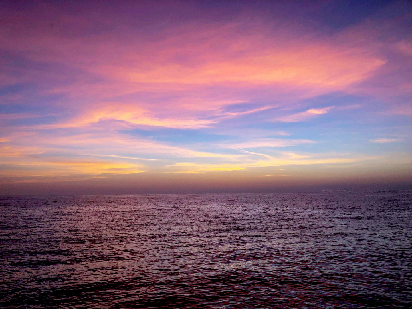 Solskinserien: Newport Beach