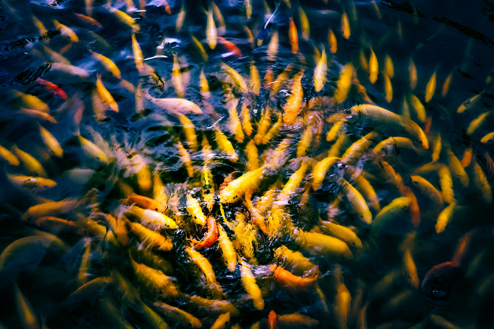 Vores guide til Malaysias østkyst